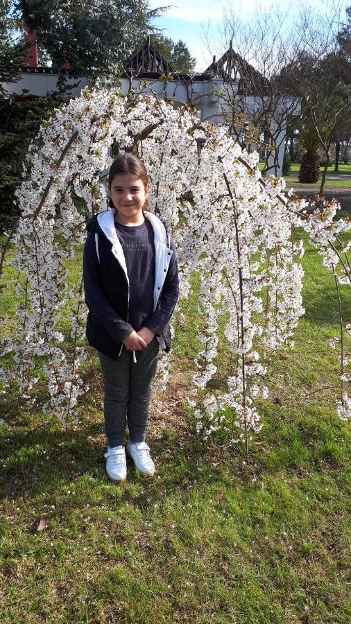 Домики У Лизы Под Ключ 피준다 외부 사진